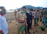 Gubernur Sebut Tanam Mangrove untuk Mitigasi Bencana Tsunami 