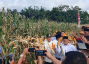 M.Rahmad: 125 Hektare Disiapkan Warga Untuk Program Tanam Jagung