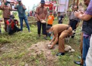 Masyarakat Nagari Gantiang Mudiak Selatan Surantih Bakal Dapat Akses Internet