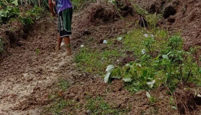 Longsor Tutup Akses Nagari Sungai Sirah Kuranji Hulu, Puluhan Kepala Keluarga Terisolir