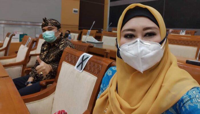 Lisda Hendrajoni Sebut UU Kesejahteraan Lansia Perlu Dikaji Ulang