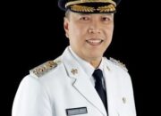Irdinansyah Tarmizi