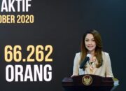 Tingkat Kesembuhan Pasien Covid-19 di Indonesia Naik