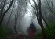 Napak Tilas Hari Pahlawan, Ratusan Warga Suayan Hilang di Tengah Hutan