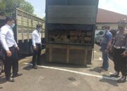 Puluhan Kubik Kayu Tanpa Dokumen Diamankan Polres 50 Kota