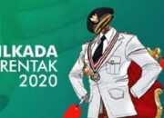 Pengamat : Lapor-melapor Pasca-Pilkada Itu Biasa