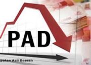 Pendapatan Daerah di APBD Perubahan 2020 Alami Penurunan?