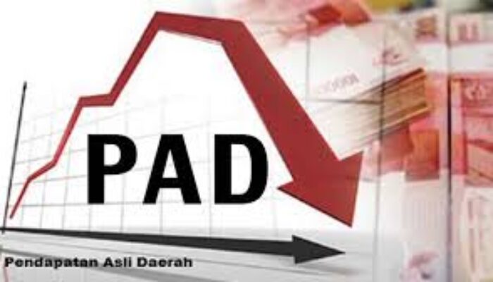 Pendapatan Daerah di APBD Perubahan 2020 Alami Penurunan?