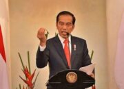 Jokowi Susun PP dan Perpres Turunan UU Ciptaker