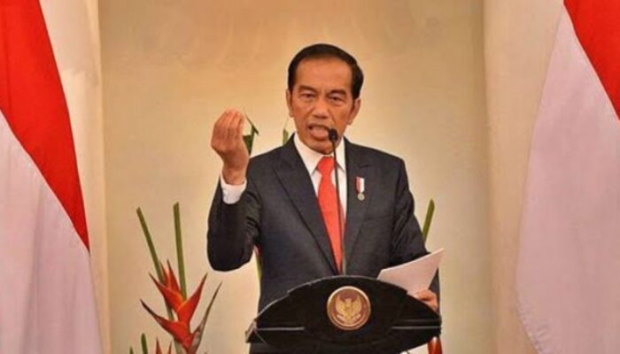 Jokowi Susun PP dan Perpres Turunan UU Ciptaker