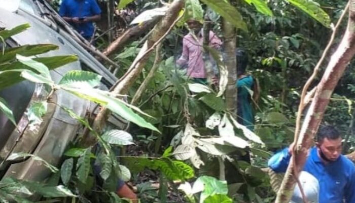 Mobil Pikap Ini Terjun ke Jurang Kelok 44, Anak Luka-luka, Sang Ibu Meninggal