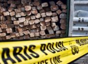 Amankan Truk Membawa Kayu Olahan Diduga Ilegal, Begini Kata Kapolsek Pulau Punjuang