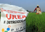 HKTI Pessel Sebut Pemda Minim Perhatian kepada Petani, Pihak Pemkab Jawab Begini