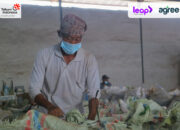 Agree Dukung Digitalisasi Pertanian PMO Kopi Nusantara BUMN