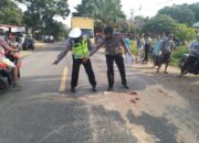 Kecelakaan di Dharmasraya, Pengendara Motor Asal Jambi Tewas Tertabrak