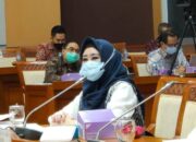 Sepakat Dengan Ormas, Lisda Hendrajoni Minta RUU-TPKS Dibahas Terbuka