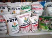 SPI: Harga Pupuk Nonsubsidi Naik Sejak Awal Tahun