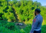 Diduga Rem Blong, Truk Tangki Pengangkut Pertalite Terjun Bebas ke Bukit Pulai Pessel