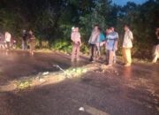 Kecelakaan di Teluk Betung Pessel, Pemotor Tewas