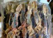 Wow, 330 Kg Cicak Kering Asal Padang di Ekspor ke Hongkong