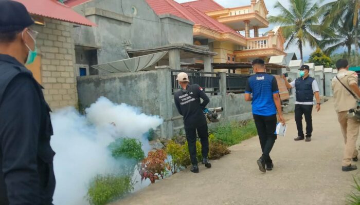 40 Kasus DBD di Kabupaten Solok, Dinkes Lakukan Fogging dan Survei Jentik