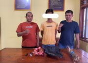 Kedapatan Miliki Ganja, Seorang Pria Ditangkap Polisi di Sutera Pessel