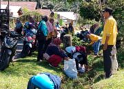 Cegah Penularan DBD, Pemerintah Nagari Koto VIII Pelangai Laksanakan Goro Bersama