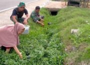 Personil Satgas TMMD Ikut Panen Sayur Bersama Ibu Angkat