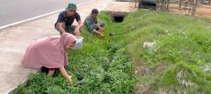 Personil Satgas TMMD Ikut Panen Sayur Bersama Ibu Angkat