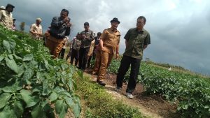 PT Indofood Jajaki Kerja Sama dengan Petani Kabupaten Solok