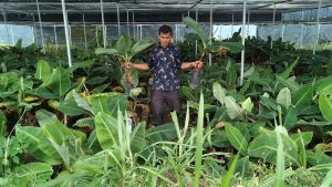 Jalan Tani Dibuka, Bupati Solok Bagikan Puluhan Ribu Bibit Gratis untuk Petani