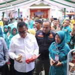 pkk kabupaten solok