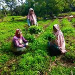 Rumah Pangan Lestari Pabrik Aqua