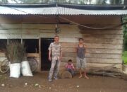 Melalui Program RST Kemensos RI, Sebanyak 171 Rumah di Pessel Bakal Direhabilitasi 