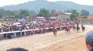 Bukittinggi dan Agam Gelar Pacu Kuda Wako Bupati Cup 2023