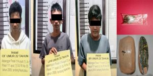 Edarkan Ganja, Tiga Pelajar dan Mahasiswa Diciduk Polres Dharmasraya