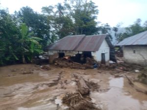 Banjir Bandang Hantam Nagari Surian, Rumah dan Lahan Sawah Rusak
