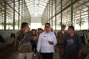 Fasih Bahasa Inggris, Bupati Solok Epyardi Asda Jelaskan Soal Pertanian ke Warga Negara Asing