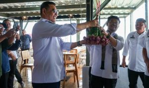 Akui Kinerja Bupati Solok di Bidang Pertanian, Menteri Sharul Yasin Limpo: Bupati Agresif Kita Support
