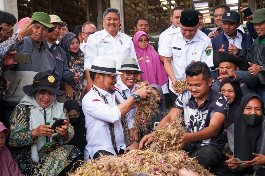 Meniti Kejayaan Bawang Merah Kabupaten Solok