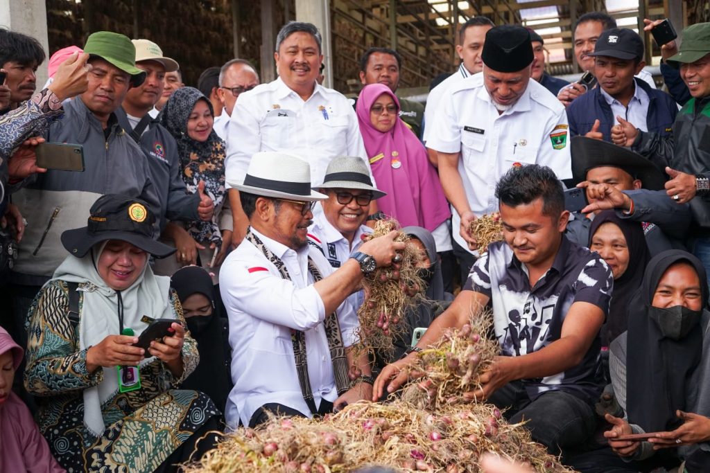 bawang merah kabupaten solok