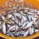 ikan bilih danau singkarak obat stunting