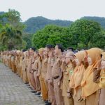 smart city kabupaten solok