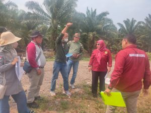 Gugatan Legal Standing AJPLH terhadap PT Incasi Raya Terus Berlanjut, Tim Temukan Patok BPN dalam Kawasan Hutan