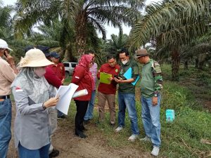 PT.Incasi Raya Bantah Miliki Lahan Dalam Kawasan Hutan, AJPLH: Nyatanya Mereka Urus Izin Keterlanjuran