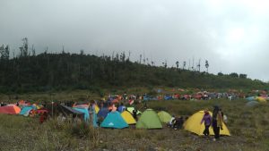Pasca Erupsi Gunung Marapi, Gunung Talang Masih Normal, Pendaki Dilarang Ngecamp di Sekitar Kawah