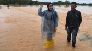 Penanganan Banjir di Sumatera Barat, Lisda Hendrajoni Langsung Koordinasi Dengan BNPB