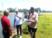 Atasi Banjir di Sungai Batang Tapan, BPBD Pessel Bakal Bangun Kawat Bronjong