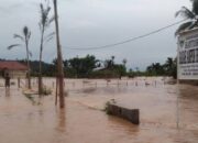 Walhi Dorong Pemerintah dan Penegak Hukum Usut Tuntas Penyebab Banjir dan Longsor di Sumbar