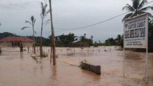 Walhi Dorong Pemerintah dan Penegak Hukum Usut Tuntas Penyebab Banjir dan Longsor di Sumbar